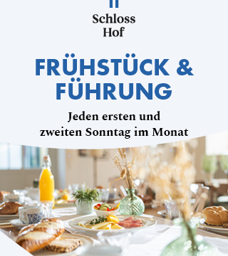 Tipps der Stadtspionin