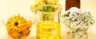 Tipps der Stadtspionin