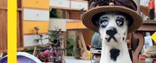 Tipps der Stadtspionin