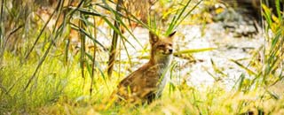 Tipps der Stadtspionin