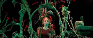 Tipps der Stadtspionin