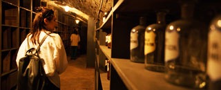 Tipps der Stadtspionin