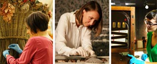 Tipps der Stadtspionin