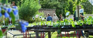 Tipps der Stadtspionin