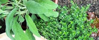 Tipps der Stadtspionin