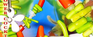 Tipps der Stadtspionin