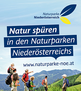 Tipps der Stadtspionin