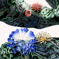 Tipps der Stadtspionin