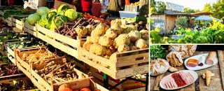 Tipps der Stadtspionin