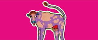 Tipps der Stadtspionin