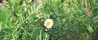 Tipps der Stadtspionin