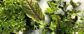 Tipps der Stadtspionin