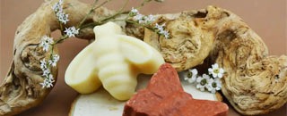 Tipps der Stadtspionin