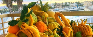 Tipps der Stadtspionin