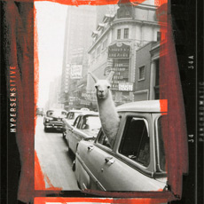 Tipps der Stadtspionin