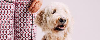 Tipps der Stadtspionin