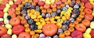 Tipps der Stadtspionin