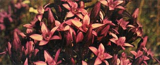 Tipps der Stadtspionin