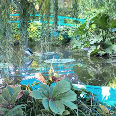 Tipps der Stadtspionin