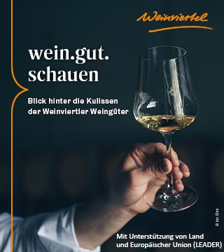 Tipps der Stadtspionin