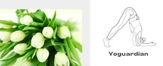 Tipps der Stadtspionin