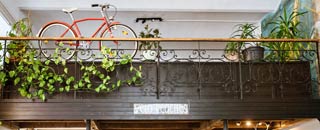 Tipps der Stadtspionin