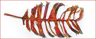 Tipps der Stadtspionin