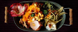 Tipps der Stadtspionin