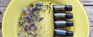 Tipps der Stadtspionin