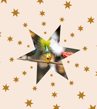 Tipps der Stadtspionin