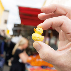 Tipps der Stadtspionin