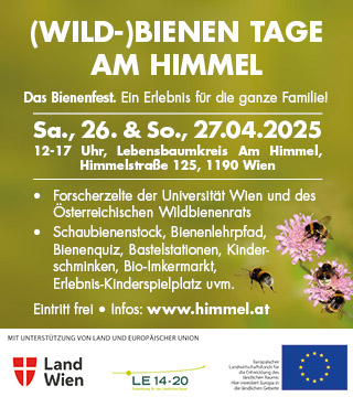 Tipps der Stadtspionin