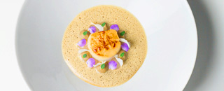 Tipps der Stadtspionin