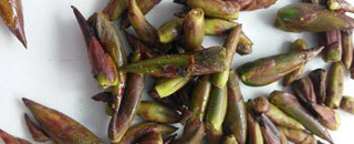 Tipps der Stadtspionin