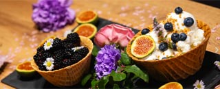 Tipps der Stadtspionin