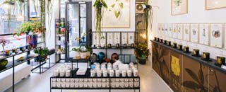 Tipps der Stadtspionin