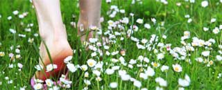 Tipps der Stadtspionin