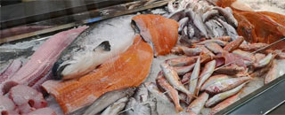 Tipps der Stadtspionin