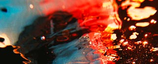 Tipps der Stadtspionin