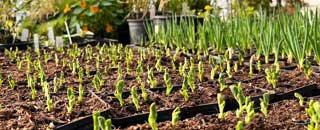 Tipps der Stadtspionin