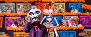 Tipps der Stadtspionin