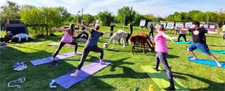 Tipps der Stadtspionin