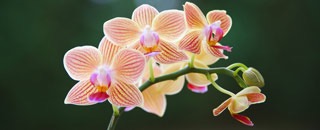 Tipps der Stadtspionin