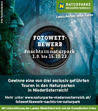 Tipps der Stadtspionin