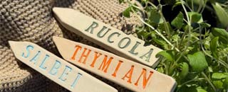 Tipps der Stadtspionin