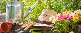 Tipps der Stadtspionin