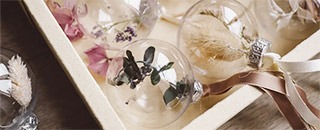 Tipps der Stadtspionin