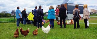 Tipps der Stadtspionin