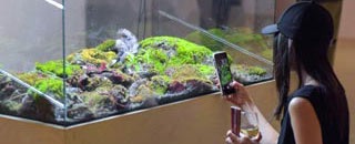 Tipps der Stadtspionin