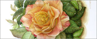 Tipps der Stadtspionin